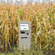 Illustration for article titled White House Announces Obamacare Exchange Now Only Accessible From Single Kiosk In Remote Iowa Cornfieldem/em